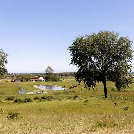 Kustlijn Vakantiewoning