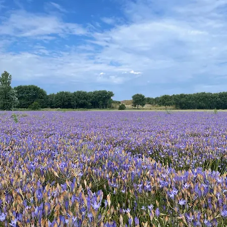 Kustlijn Vakantiewoning