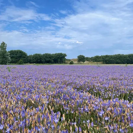 Kustlijn Vakantiewoning