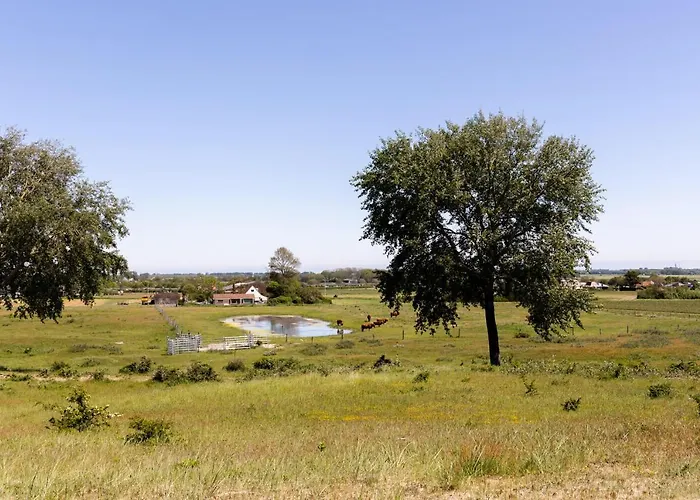 Kustlijn Vakantiewoning