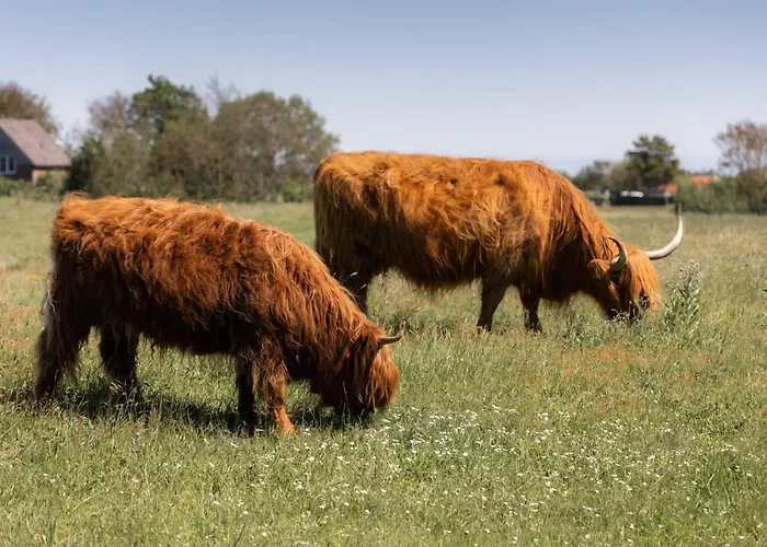 Kustlijn Vakantiewoning Vakantiehuis *