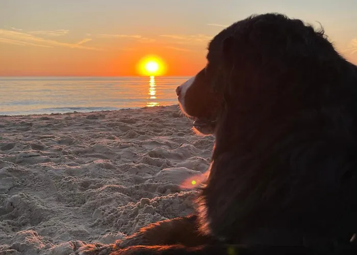 Kustlijn Vakantiewoning *