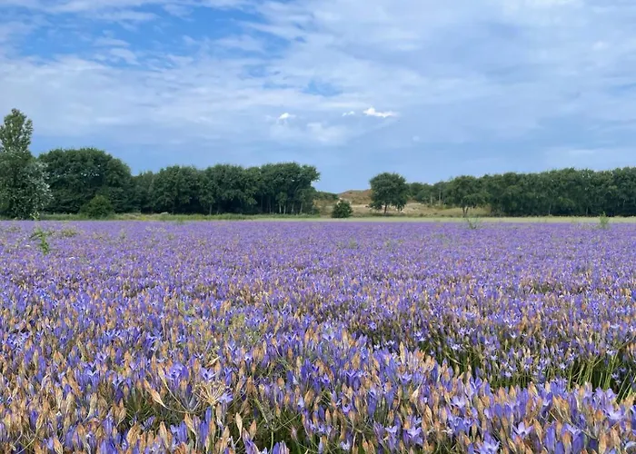 Kustlijn Vakantiewoning