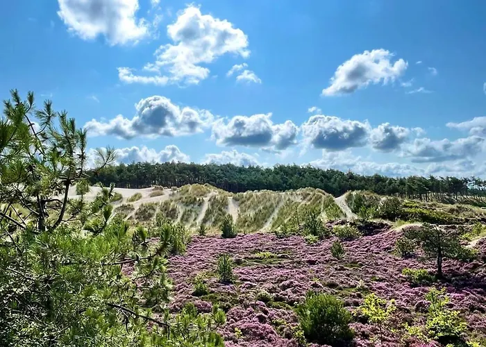 Vakantiehuis Kustlijn Vakantiewoning *